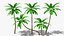 3D Stylized Cartoon Palms Set