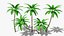 3D Stylized Cartoon Palms Set