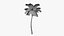 3D Stylized Cartoon Palms Set