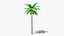 3D Stylized Cartoon Palms Set
