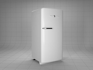 GE Fridge White