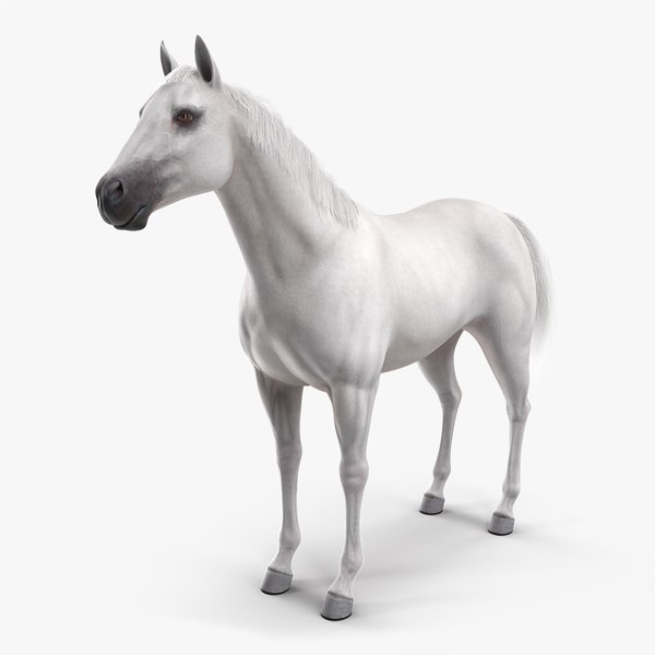 3D model white horse fur