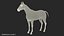 White Horse Fur