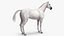 White Horse Fur