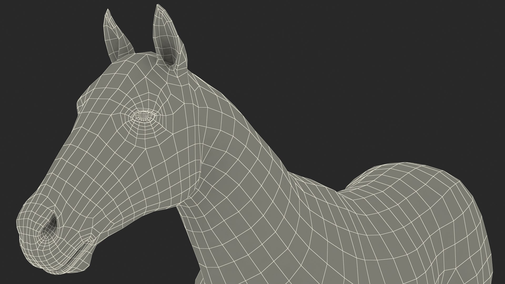 3D model white horse fur https://p.turbosquid.com/ts-thumb/Kx/hT2SaB/PtKSqnZO/whitehorsefurvray3dmodel026/jpg/1570326461/1920x1080/fit_q87/e17d25ddb2d27dc2819bc80a6915d5278c81397c/whitehorsefurvray3dmodel026.jpg