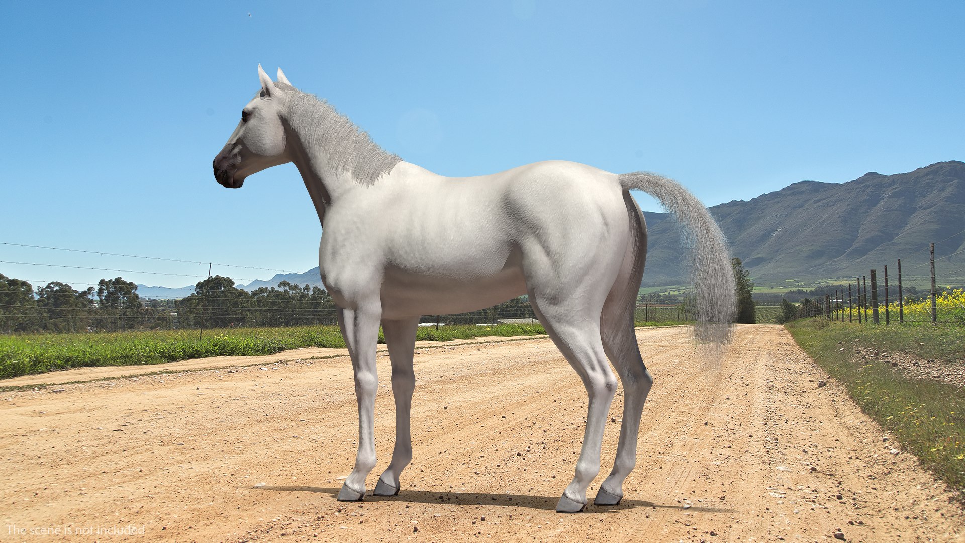 3D model white horse fur https://p.turbosquid.com/ts-thumb/Kx/hT2SaB/d0UH7ks1/whitehorsefurvray3dmodel002/jpg/1570326388/1920x1080/fit_q87/d0b323bed7bbb2338baa9e817c559339f0f49c62/whitehorsefurvray3dmodel002.jpg