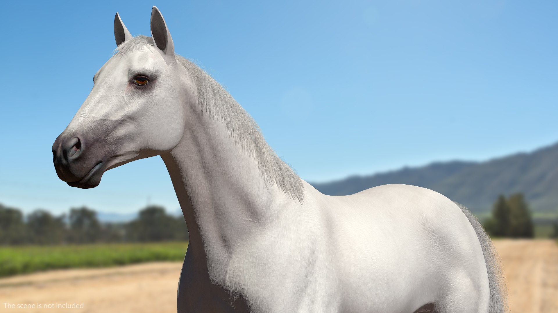3D model white horse fur https://p.turbosquid.com/ts-thumb/Kx/hT2SaB/gTZ8V6zI/whitehorsefurvray3dmodel003/jpg/1570326391/1920x1080/fit_q87/3db70d71e1155f7f183e52817b2a64dc126928aa/whitehorsefurvray3dmodel003.jpg