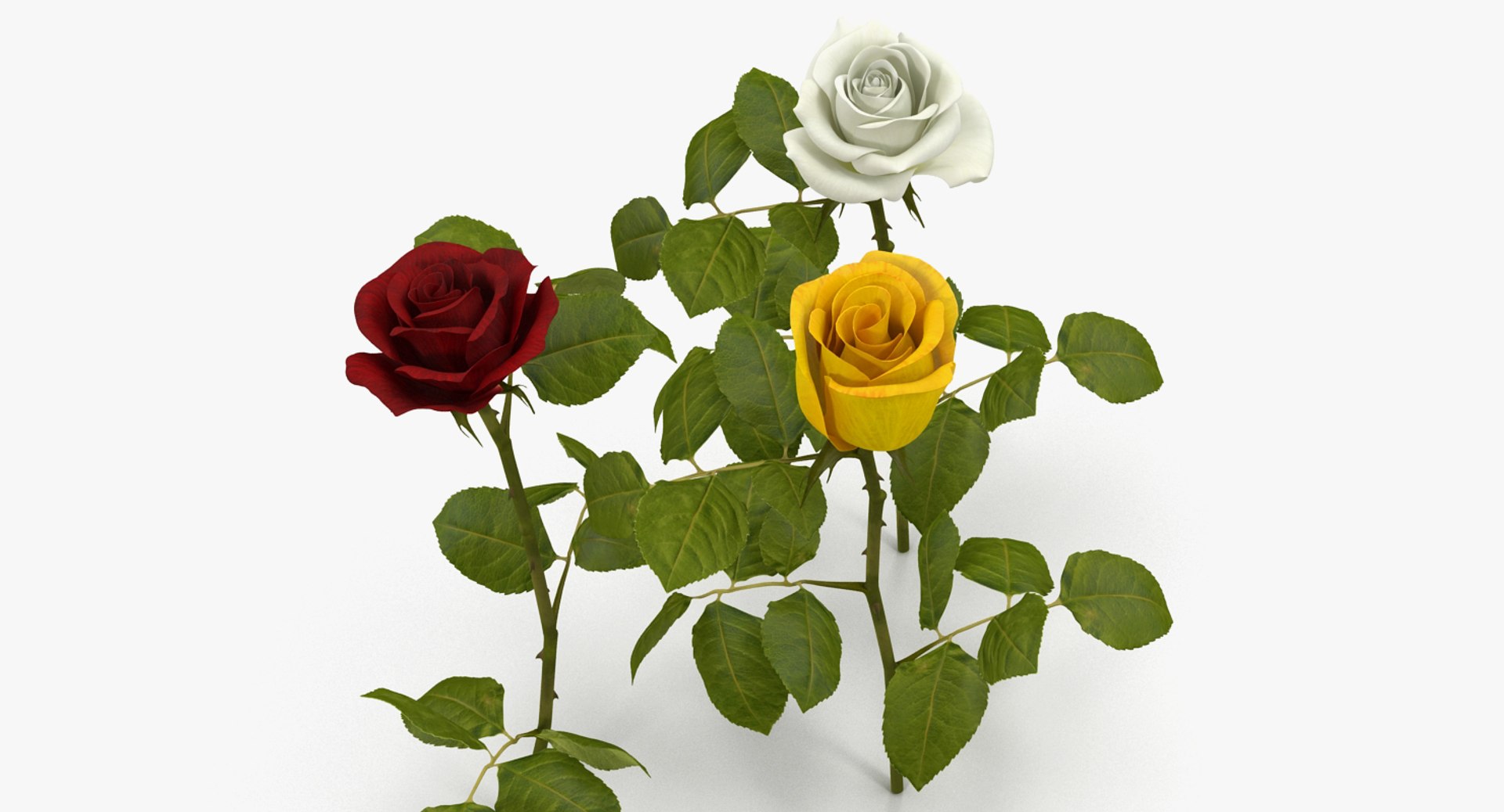 3D Roses 2 - TurboSquid 1177357