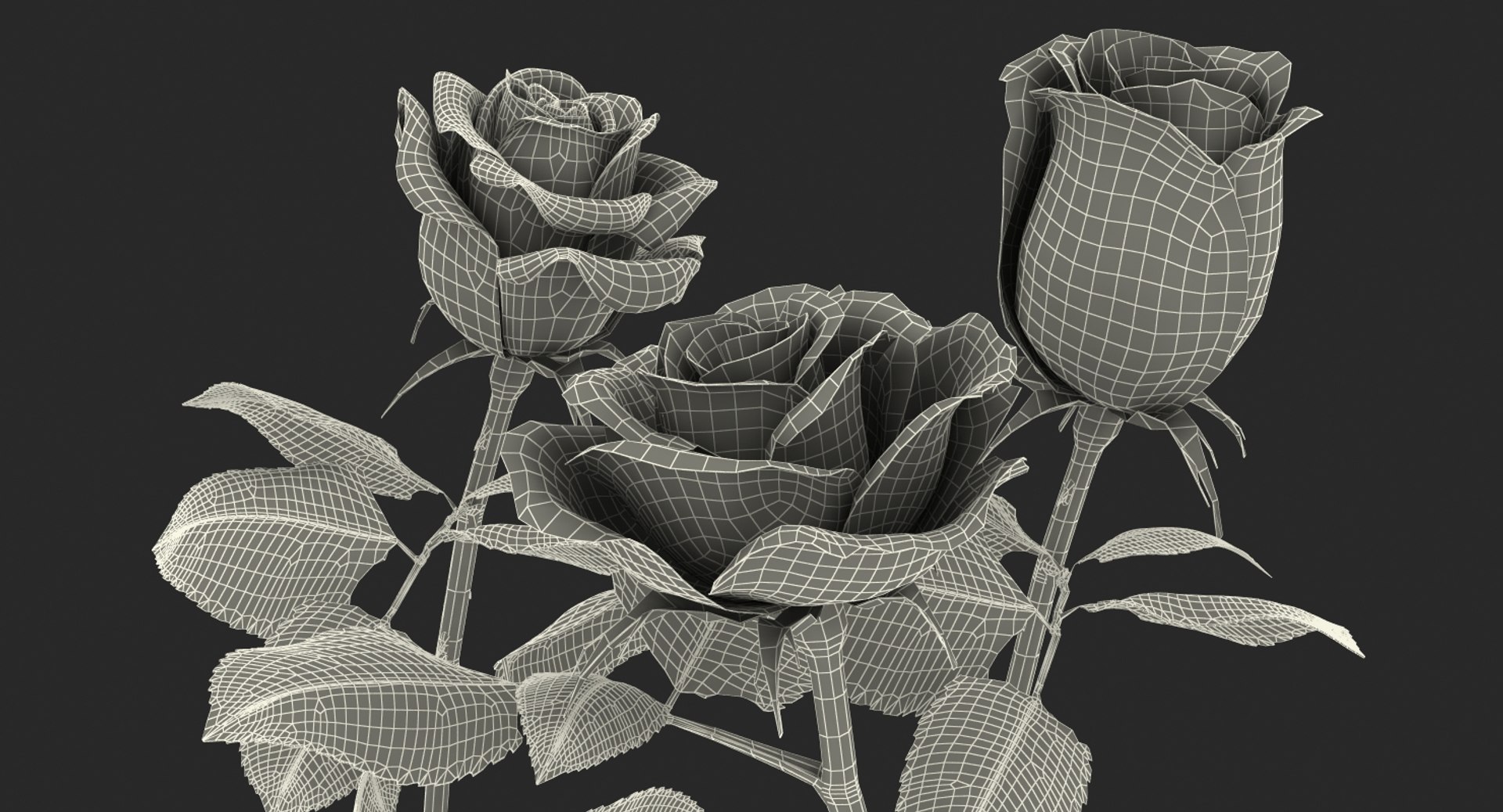 3D Roses 2 - TurboSquid 1177357