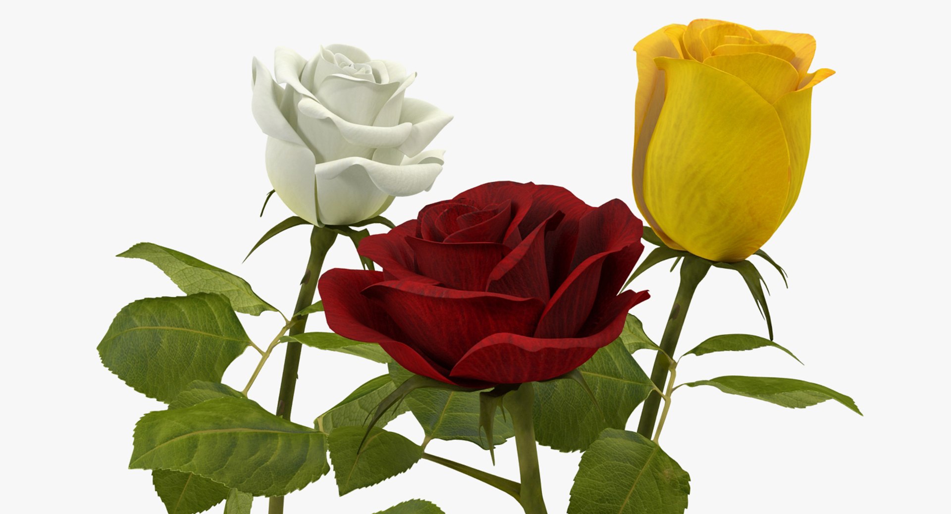 3D Roses 2 - TurboSquid 1177357