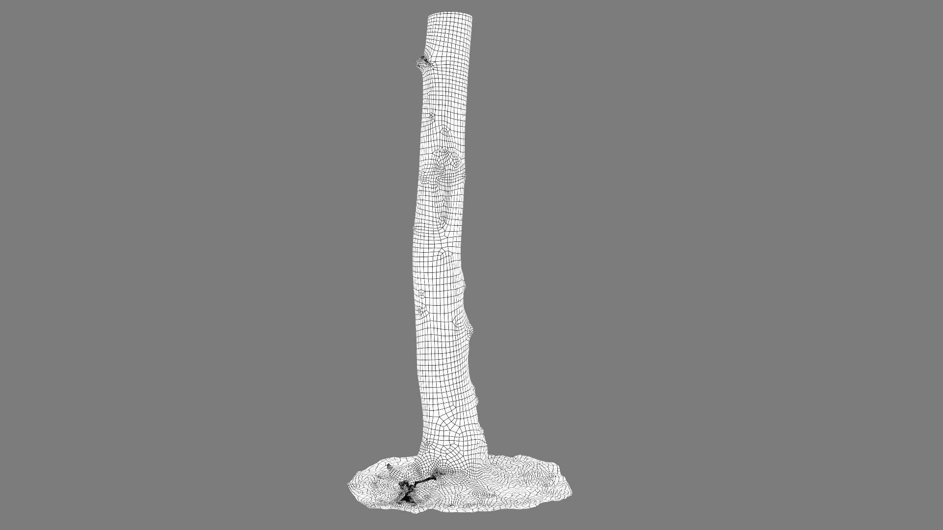 3D Scanned Forest Tree Trunk 02 StemCell Model - TurboSquid 2290534