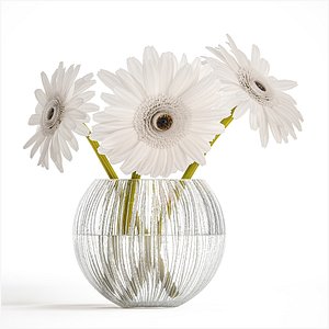 Small Bouquet Of White Flowers Zerbera Gerbera 416
