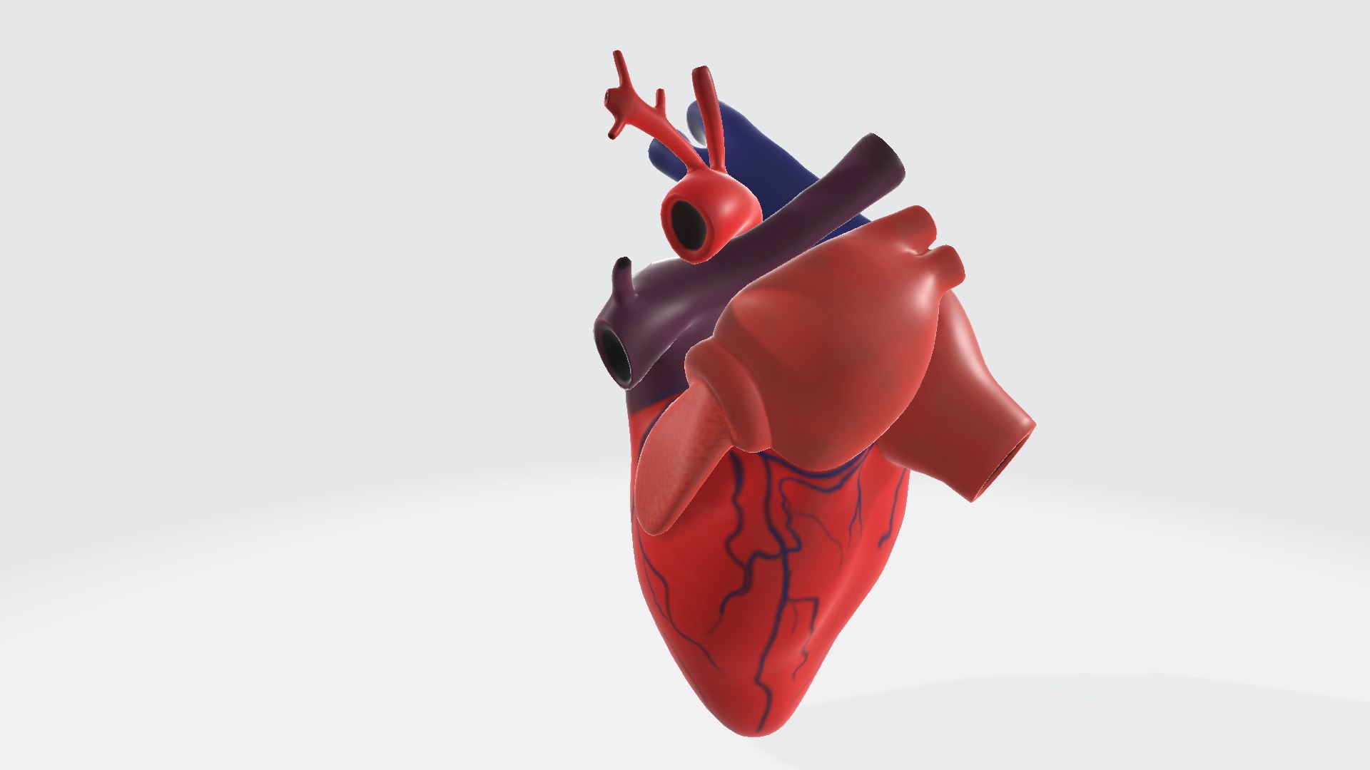 Human heart 3D model https://p.turbosquid.com/ts-thumb/Ky/CLVH2v/Cr/humanheart001234/png/1729688907/1920x1080/fit_q87/d0416a25fd3926f1a1f389ff49aa08fbcfcc3510/humanheart001234.jpg