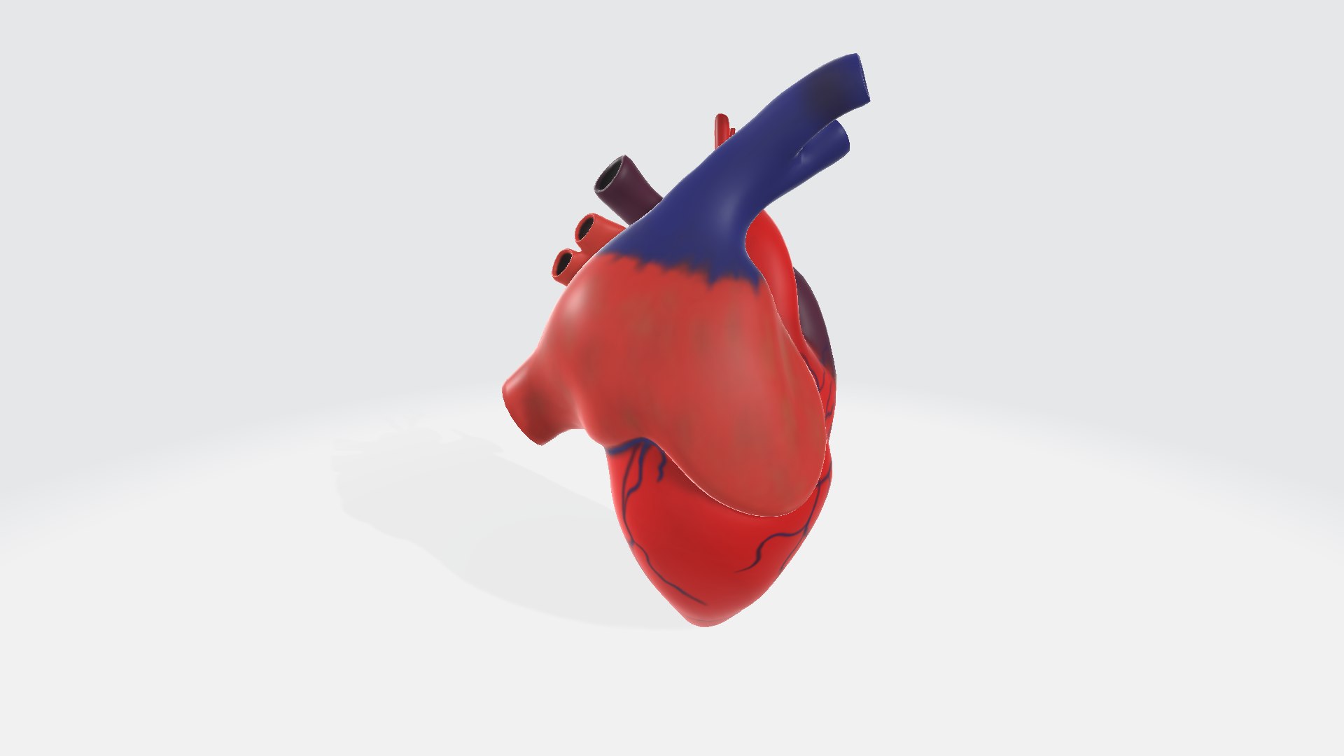 Human heart 3D model https://p.turbosquid.com/ts-thumb/Ky/CLVH2v/YV/humanheart00123/png/1729688906/1920x1080/fit_q87/80d0a76e16db54ba721d8db53c134468ab25b234/humanheart00123.jpg