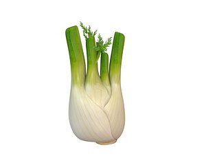 Fennel