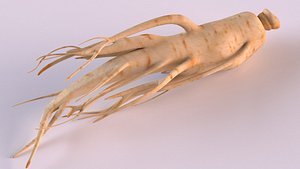 Ginseng root