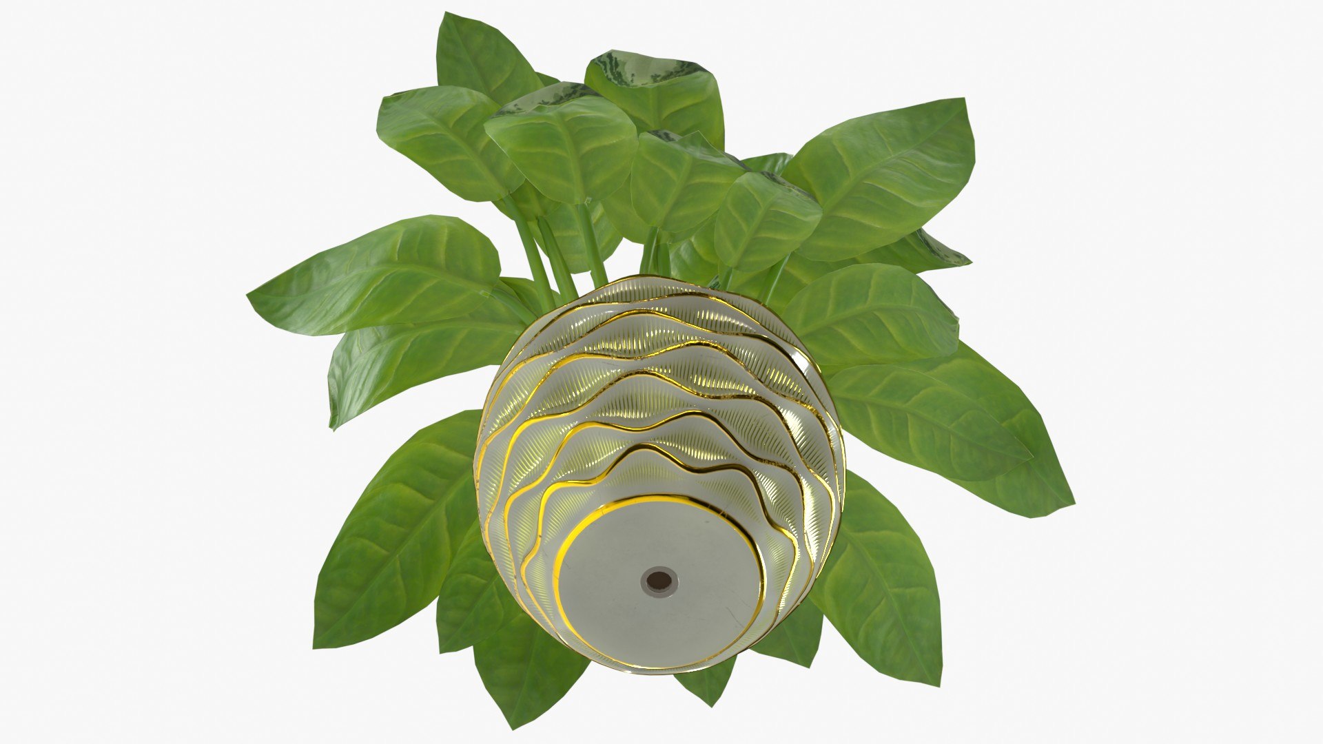 Aglaonema Silver Bay in Ceramic Vase - Game Asset 3D model https://p.turbosquid.com/ts-thumb/Ky/J6Brtz/2E/aglaonemasilverbayinvase_pi0004/jpg/1701000925/1920x1080/fit_q87/189a6d585e298e3c3792ec38cde9b2693f5fef80/aglaonemasilverbayinvase_pi0004.jpg