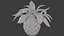 Aglaonema Silver Bay em Vaso de Cerâmica - Game Asset