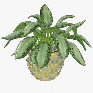 Aglaonema Silver Bay in Ceramic Vase - Game Asset 3D model