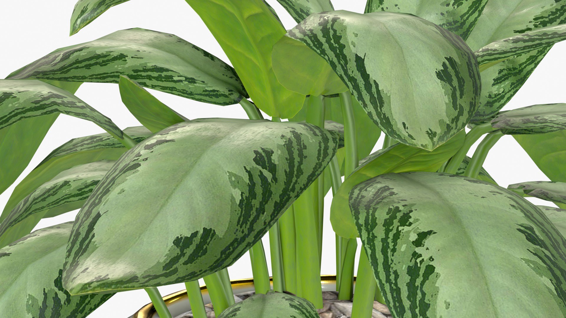 Aglaonema Silver Bay in Ceramic Vase - Game Asset 3D model https://p.turbosquid.com/ts-thumb/Ky/J6Brtz/gu/aglaonemasilverbayinvase_pi0002/jpg/1701000922/1920x1080/fit_q87/b6ed4ae5b19e3c7db0453c03be2d758813af6810/aglaonemasilverbayinvase_pi0002.jpg