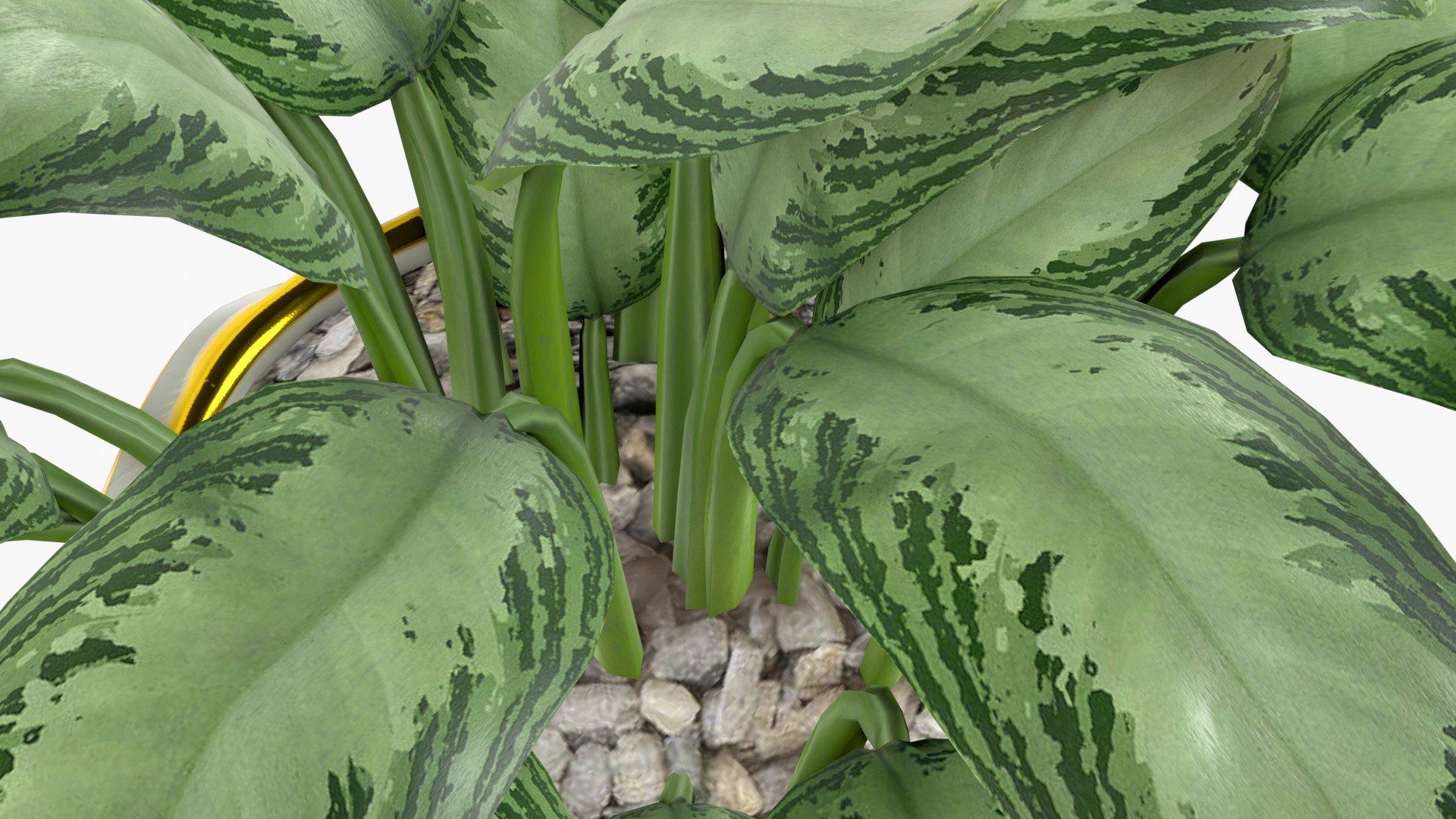 Aglaonema Silver Bay in Ceramic Vase - Game Asset 3D model https://p.turbosquid.com/ts-thumb/Ky/J6Brtz/rX/aglaonemasilverbayinvase_pi0005/jpg/1701000927/1920x1080/fit_q87/f002fbe41e4fcaebeec0c4f92ef71970299a08d2/aglaonemasilverbayinvase_pi0005.jpg