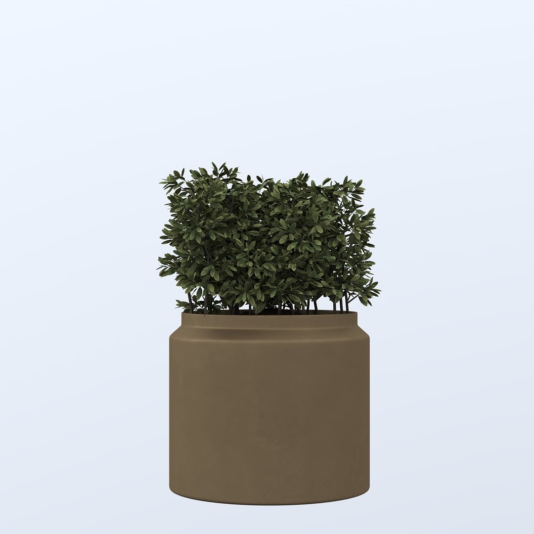 Plants 3D model https://p.turbosquid.com/ts-thumb/Ky/Ja0iQC/QD/9/jpg/1744967598/1920x1080/fit_q87/37d017dc9836436edbcba282365ddd67809cca29/9.jpg