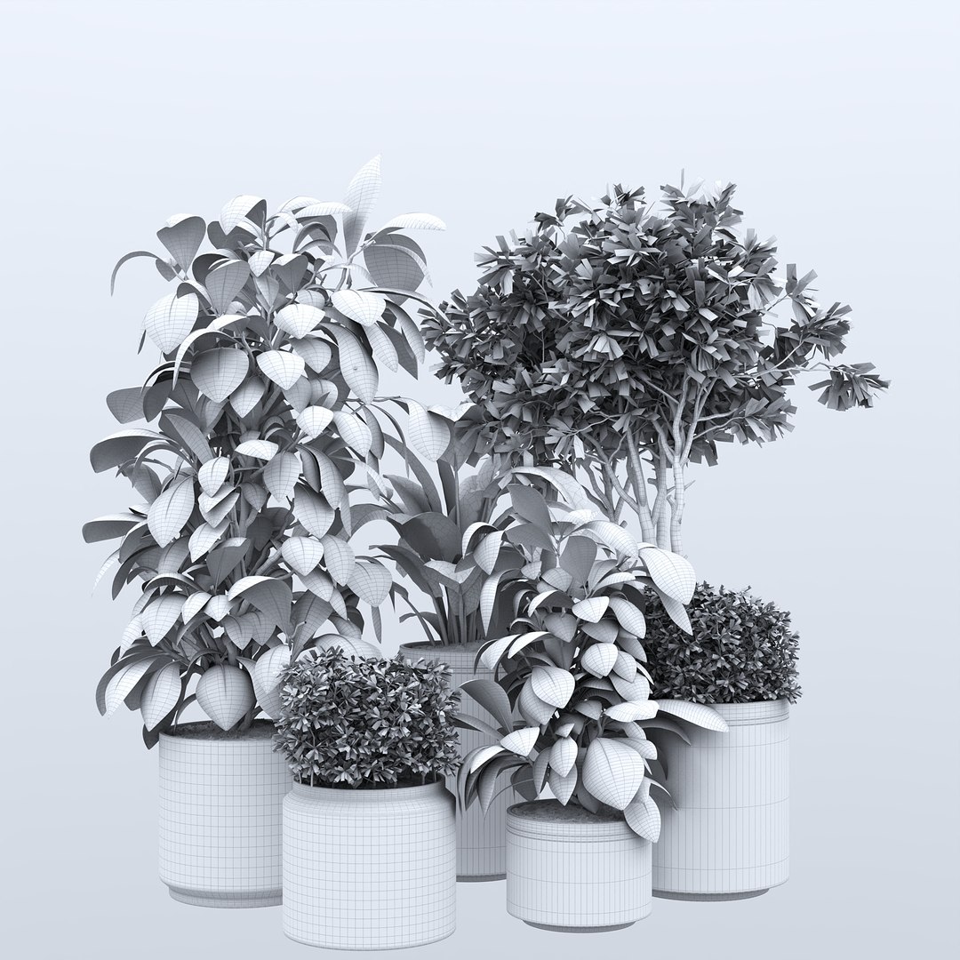 Plants 3D model https://p.turbosquid.com/ts-thumb/Ky/Ja0iQC/W1/2/jpg/1744967596/1920x1080/fit_q87/8c6f4bab261362cb92a8dcaa38eb7e63e2f40867/2.jpg