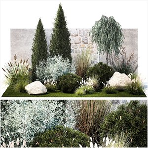 3D Garden with trees thuja pine bushes olive feather grass grass 1390 model