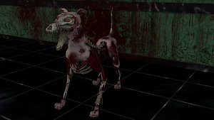 Smashed dog
