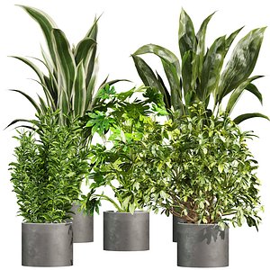 3D Collection plant vol 987 V-ray 6 max 2015 model