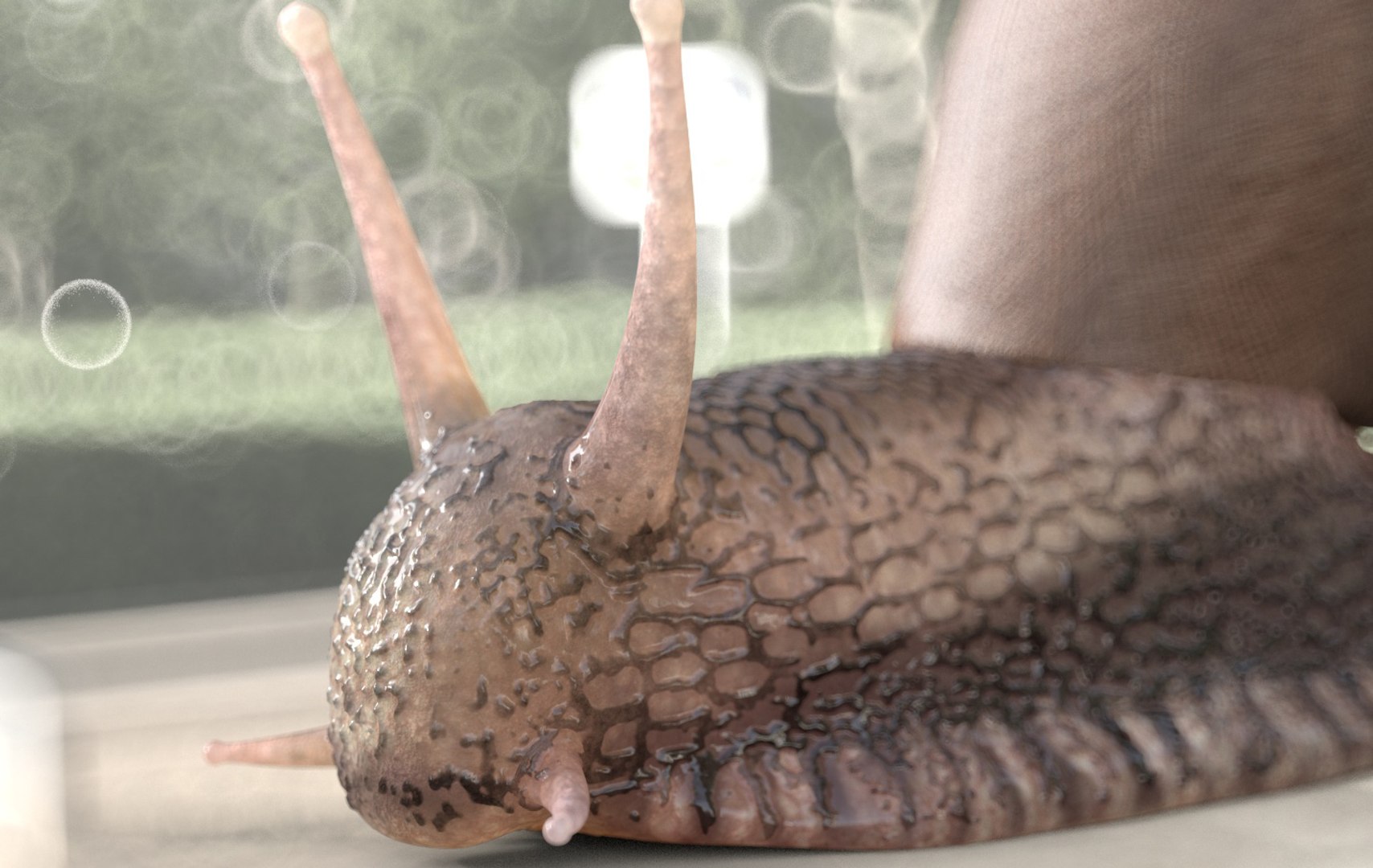 rigged 3D https://p.turbosquid.com/ts-thumb/Ky/WpHvtz/6EJVpKaj/snail8/jpg/1586191349/1920x1080/fit_q87/1f90760378aae97660fd1a62553f76fbc30ca76d/snail8.jpg