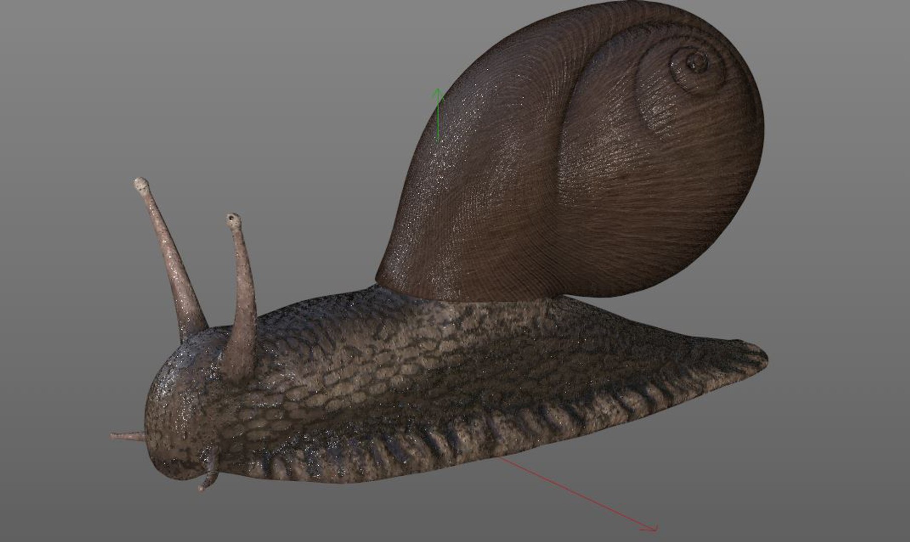 rigged 3D https://p.turbosquid.com/ts-thumb/Ky/WpHvtz/J4LuXNNw/snail10/jpg/1586191349/1920x1080/fit_q87/19638964e1b3959335fe514bad13a70b4c1d837a/snail10.jpg