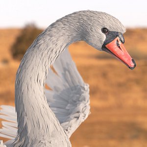 White Swan Rigged for Blender