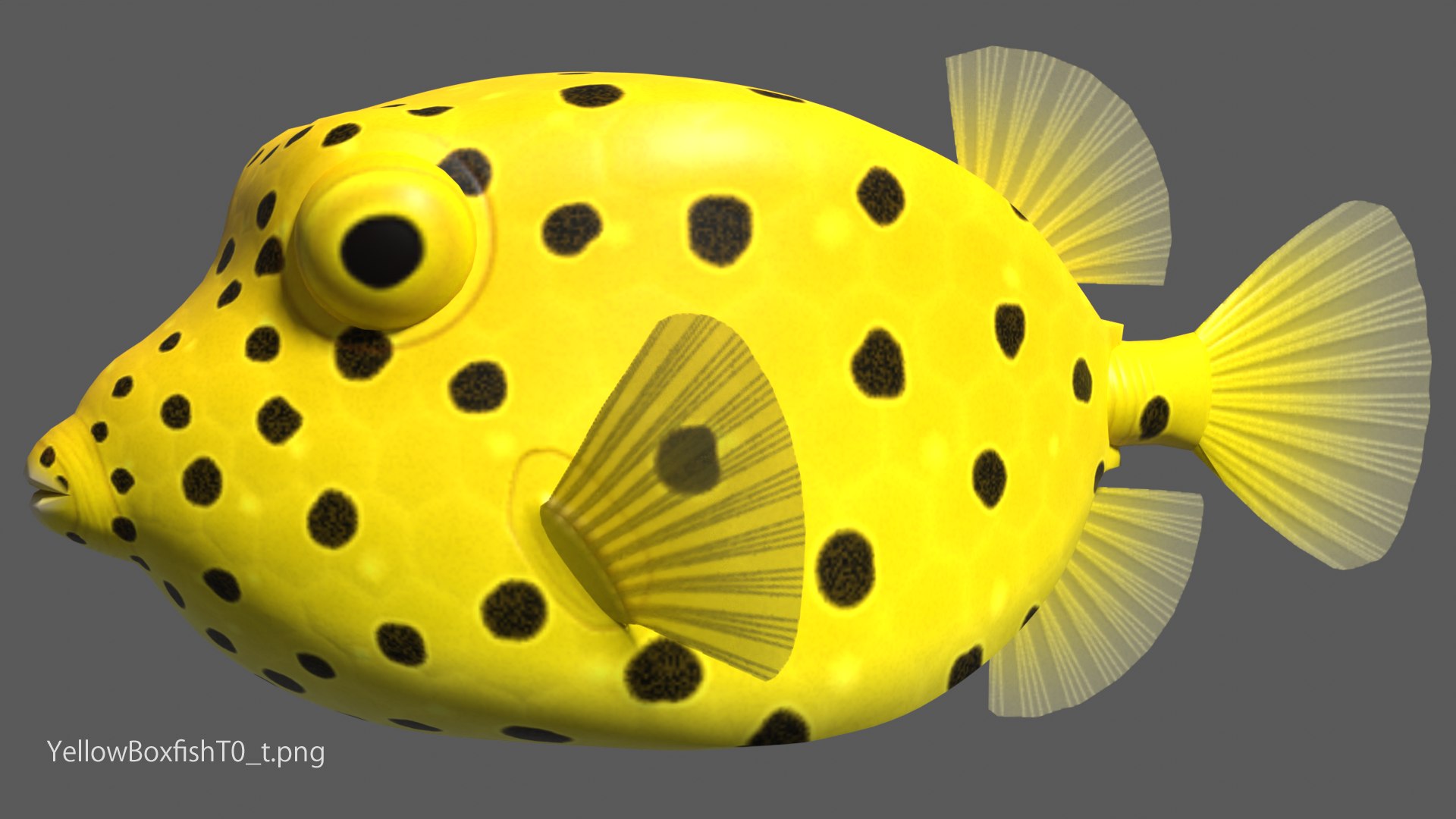 Yellow Boxfish 3d 3ds