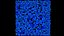 soil dry debris desert ground scatter PBR photogrammetry