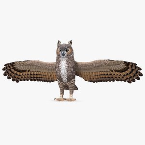 3D great horned owl rigged