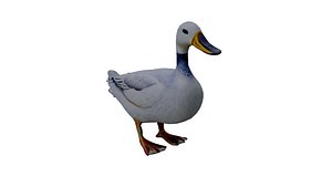 Duck White low poly 3D