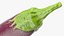 Listada de Gandia Eggplant