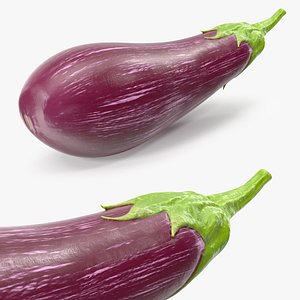 Listada de Gandia Eggplant 3D model