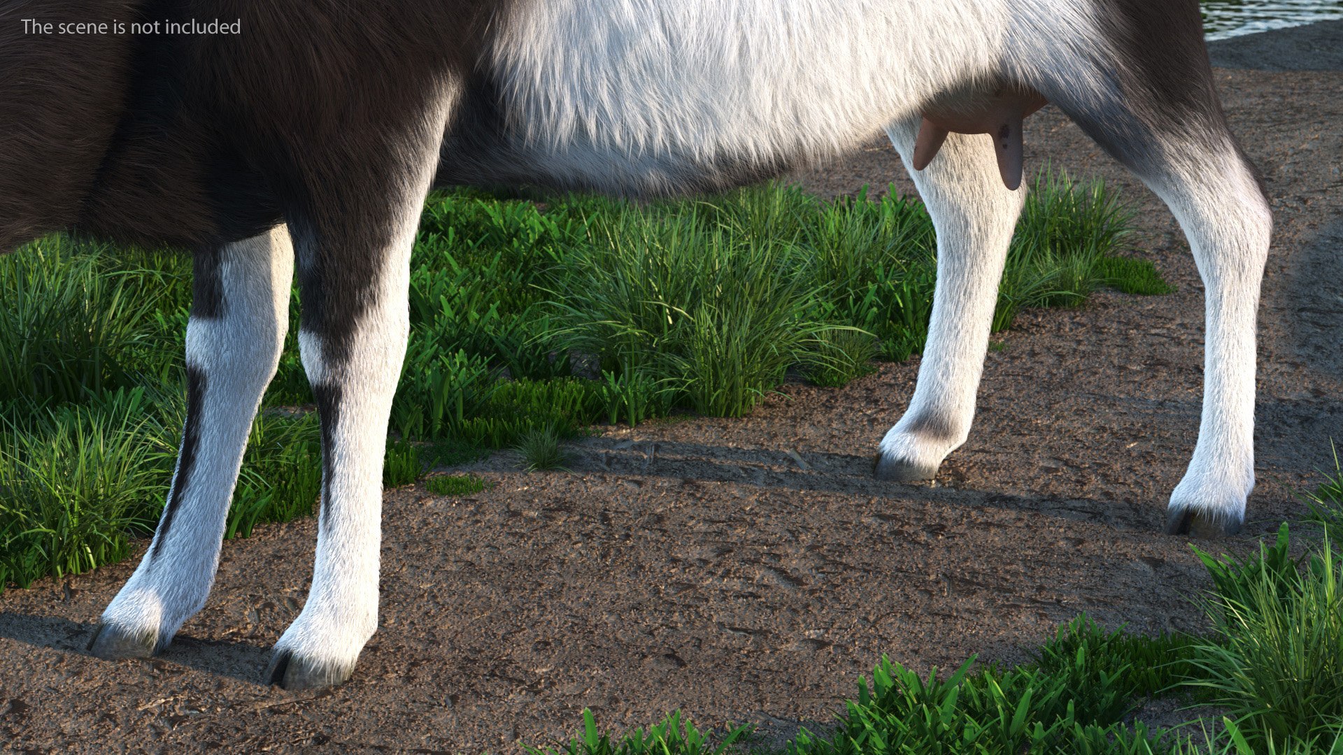 Grazing Goat Black-White Fur 3D model - TurboSquid 1991644