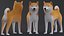 Dog Shiba Inu Low Poly 模型游戏 AR VR
