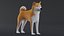 Dog Shiba Inu Low Poly 模型游戏 AR VR