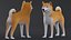 Dog Shiba Inu Low Poly 模型游戏 AR VR