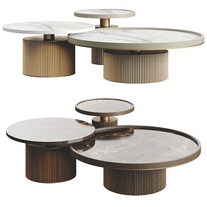 Ana Roque TENOR Coffee Table 3D model
