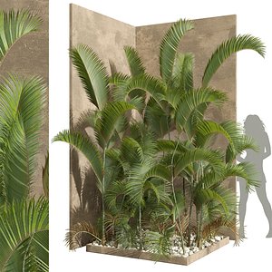 New Plant High detail Chrysalidocarpus Lutescens Small Garden 3D model