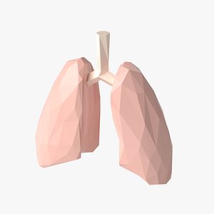 3D Stylized LowPoly Lungs