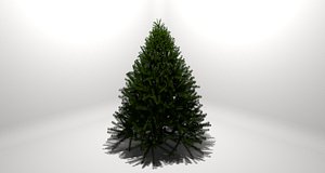 3D pine tree model