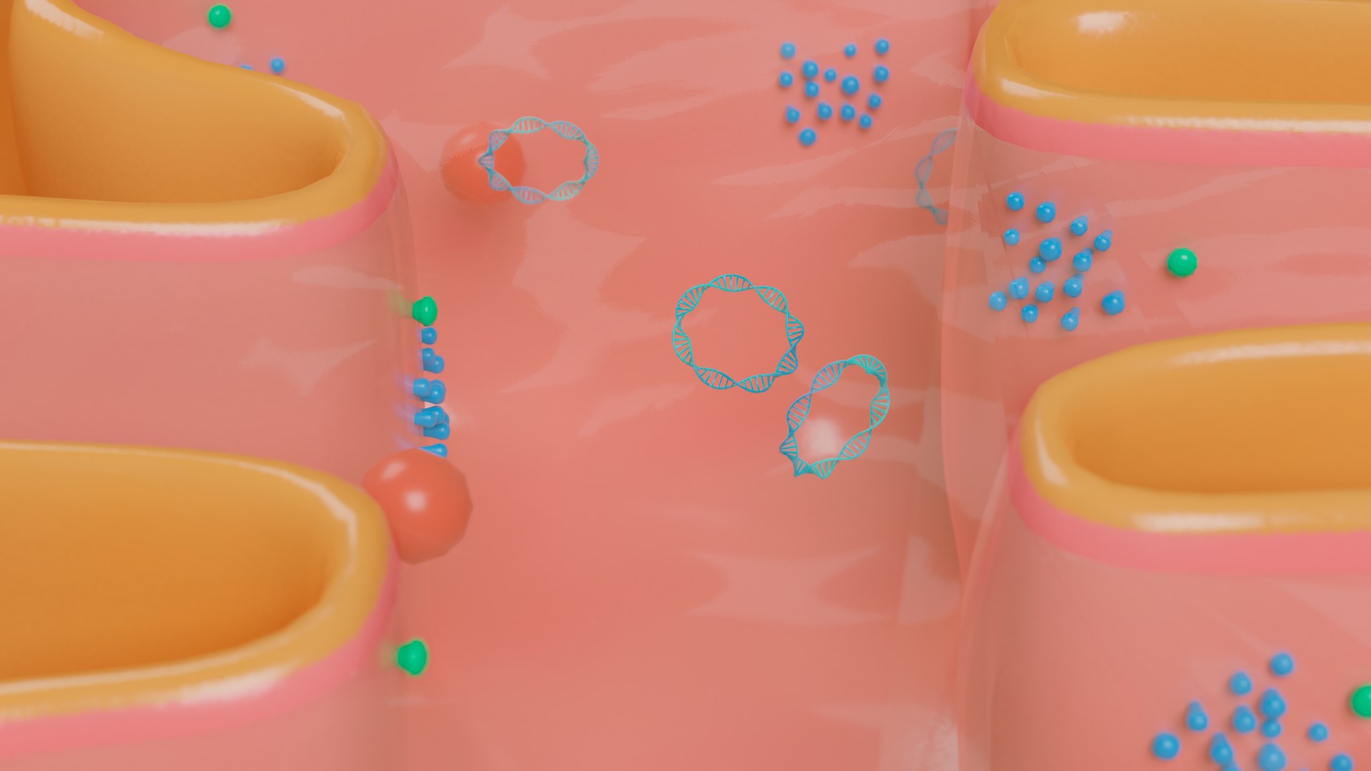 Mitochondria model https://p.turbosquid.com/ts-thumb/Kz/sYC2qG/TM/05/png/1648303406/1920x1080/fit_q87/4f819410cfa6645c20bd5ee5ddd3240148ddda47/05.jpg