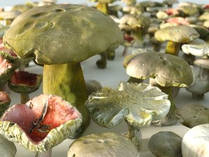 mushroom pack 4 3D model