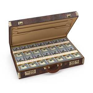 3D Briefcase full of money